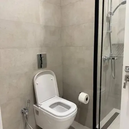 Pluhova Street Apartment *